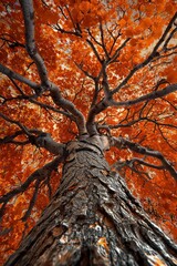 The tree trunk is wrapped in orange leaves, with the branches reaching up into an autumn sky. 