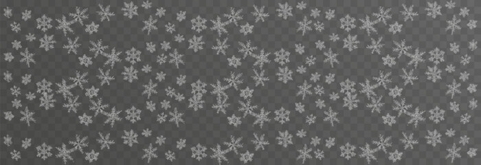 Vector flying snow. Flying snowflakes on an isolated transparent background. Winter or Christmas background. Snow or snowflakes png.