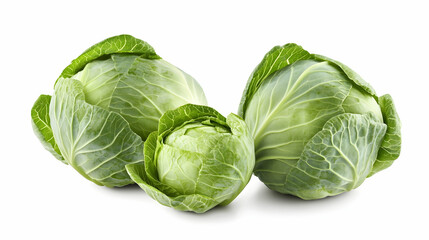 Fresh green cabbage heads. Isolated on white background -