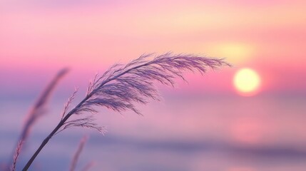Close up of a delicate grass stem at sunset over a tranquil sea with the sun dipping below the horizon Soft pink and purple pastel tones create a stunning natural backdrop