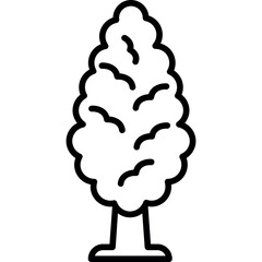 Cypress Tree Icon