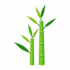 Fresh Green Bamboo Stalks with Leaves on White Background. bamboo green sticks with leaves isolated