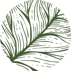 Abstract eco theme, circle with leaf veins