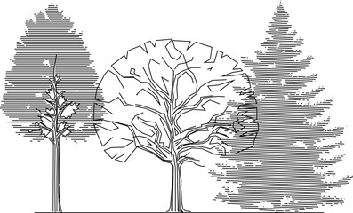Fototapeta premium illustration design vector sketch image of tree plants in parks and forests for city greening