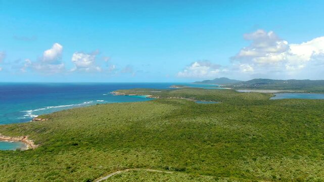 Vieques, Puerto Rico - A Panoramic View of a Vibrant Green Landscape That Stretches Toward the Coastline, Featuring Turquoise Waters - Aerial Drone Shot