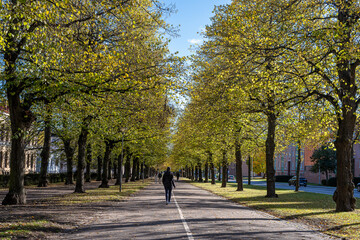 Unrecognizable People Walk The Southern