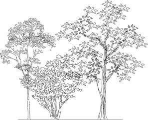 vector image design illustration of tree plants in parks and forests for city greening