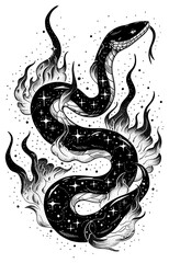 Fototapeta premium PNG Celestial illustration of Snake with Celestial Flames snake flames cosmic.