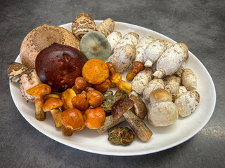 Amazing fresh raw colorful edible and tasty mushrooms on white plate