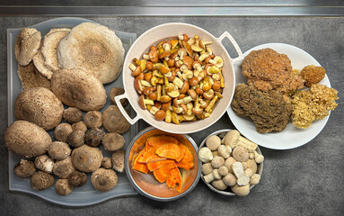 Result of autumn mushroom picking in kitchen - edible mushrooms on gray table