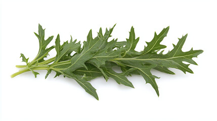 Fresh Green Leaves: Close-Up of Organic Herbs
