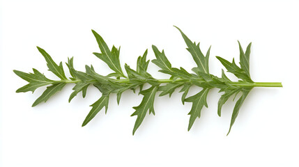 Obraz premium Green Leaves with Detailed Texture - Close-Up Photography