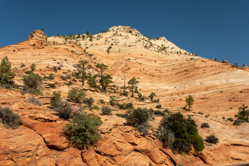 The Zion-Mt. Carmel Highway runs from the south side of Zion to the east side. ZIon National Park.