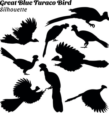 Great blue turaco bird silhouettes vector illustration set