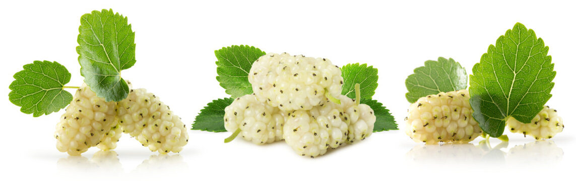 set of white mulberries isolated on a white background