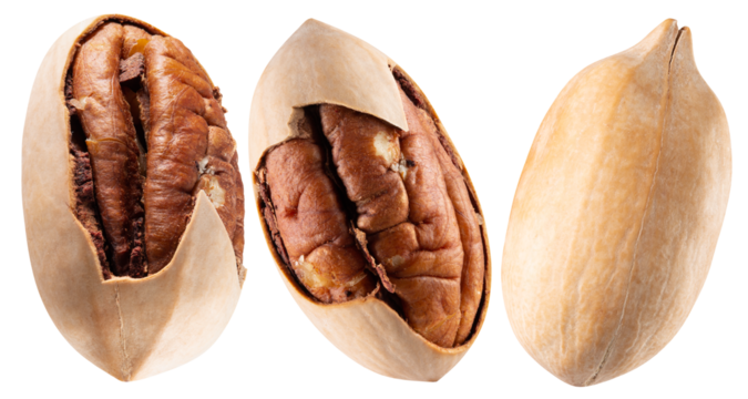 set of pecans isolated on a white background
