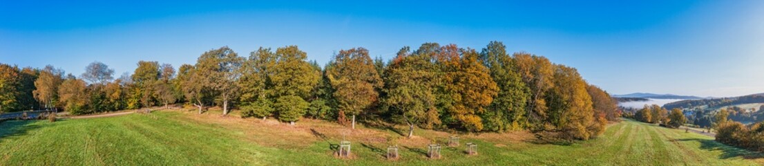 Aerial view of a forest area in the Taunus on a sunny autumn day