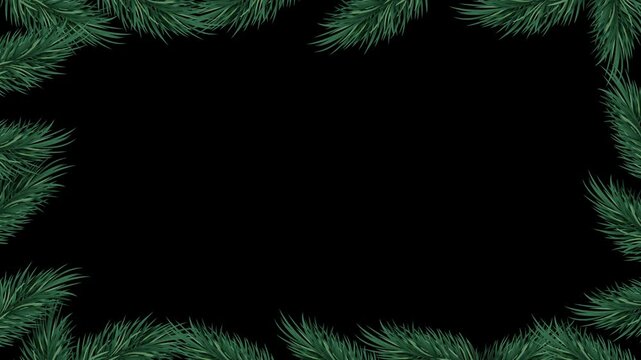 Christmas pine tree leaf border design frame with copy space, transparent background, motion graphic