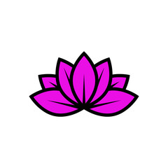 pink lotus flower