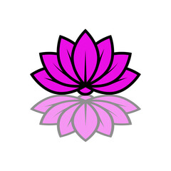 pink lotus flower