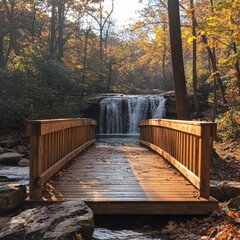 Obraz premium Wooden pathway through forest with autumn leaves and lakes