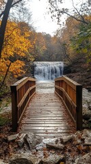 Fototapeta premium Wooden pathway through forest with autumn leaves and lakes