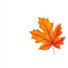 Fototapeta premium Autumn Leaves Collection on White Background: Vibrant and Colorful Fall Foliage Set