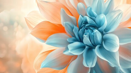 A blue flower with orange petals. The flower is in the center of the image. The background is a mix of blue and orange