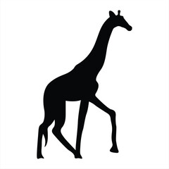 Fototapeta premium Giraffe silhouette. Giraffe black icon on white background. Perfect for Logo, Design, and More.