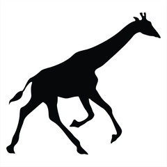 Giraffe running silhouette. Giraffe run black icon on white background. Perfect for Logo, Design, and More.