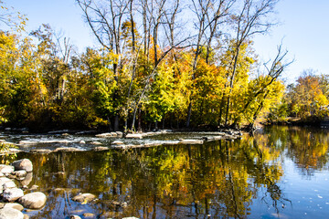 autumn trees reflected in water