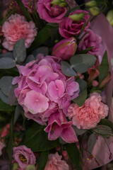 pink roses in a garden