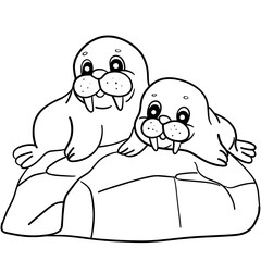 Walrus 