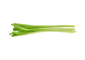 Green onion transparent png