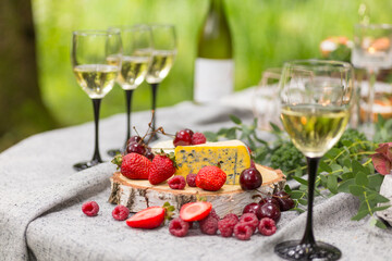 Gourmet Cheese and Berry Fruit Picnic Spread Outdoors