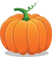 illustration of a pumpkin. Vegetables.