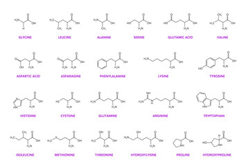 Amino acid chemical molecules and essential chain structures, vector molecular formula. Glycine, lysine and glutamine, arginine and leucine amino acids molecular structures and chain formulas