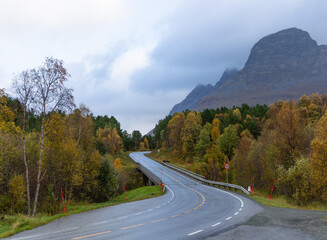 Fototapeta premium A beautiful autumn landscape in NOrthern Norway with a troad through the colorful trees and mountains. Seasonal scenery of Scandinavia.