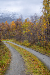 A beautiful autumn landscape in NOrthern Norway with a troad through the colorful trees and mountains. Seasonal scenery of Scandinavia.