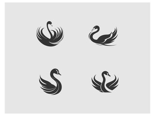 four images of swans and swans, are shown on a gray background vector, vector and illustration,