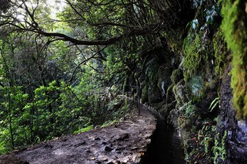 Scenic view of Caldeira Verde hiking trail in Madeira, Portugal