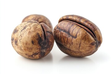 A pair of nuts sitting on a clean white background, ideal for use in packaging design or as a symbol for snacks