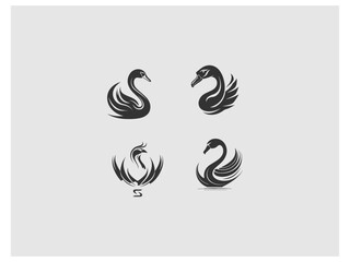 four images of swans and swans, are shown on a gray background vector, vector and illustration,
