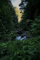Scenic view of Caldeira Verde hiking trail in Madeira, Portugal