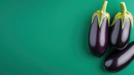Concept about vegetables on the green background. Three purple eggplants are on a green background