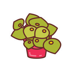 Radiator Plant Filled Icons , Vector illustration