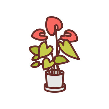 red anthurium plant in white pot clip art preview