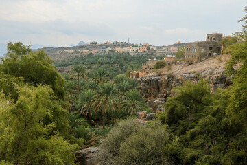 Fototapeta premium A tranquil village landscape in Oman surrounded by lush palm trees and rugged mountains under a cloudy sky