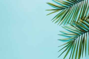 Fototapeta premium A vibrant composition of green palm leaves against a bright blue background, perfect for tropical themes and summer adventures.