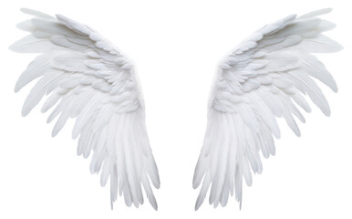 Obraz premium PNG Pair of white angel wing flying bird white background.